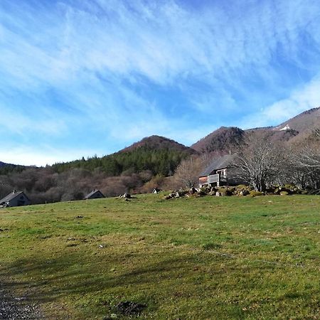 Les Chalets De La Foret D'Issaux Osse-en-Aspe Exteriör bild