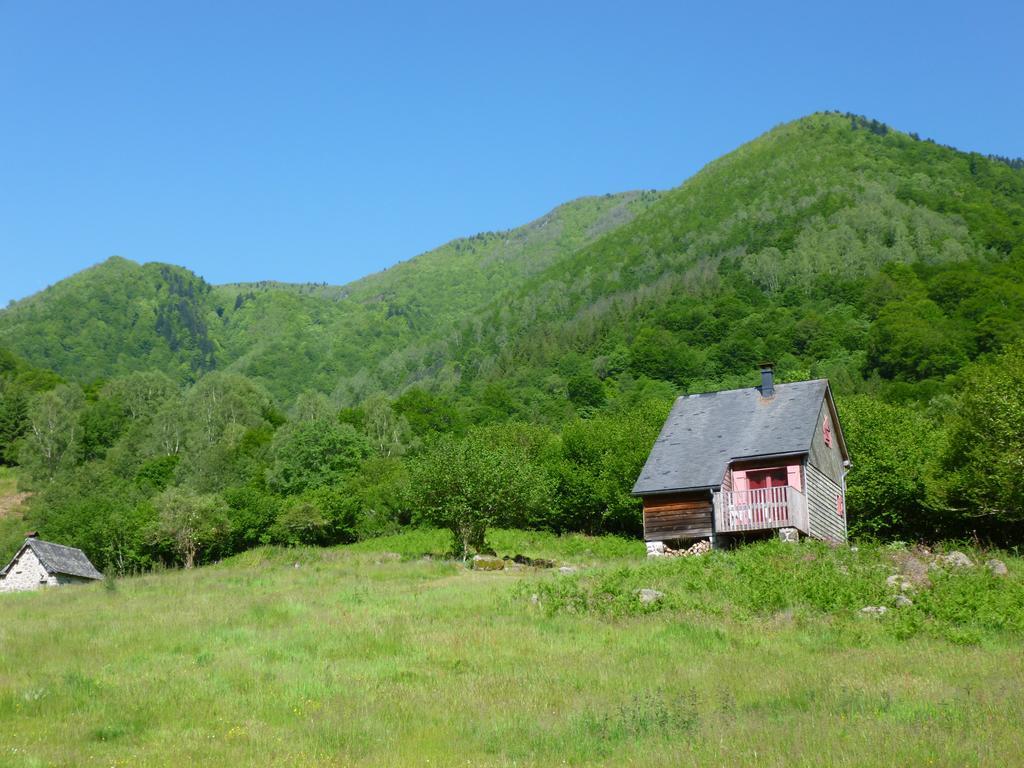 Les Chalets De La Foret D'Issaux Osse-en-Aspe Exteriör bild
