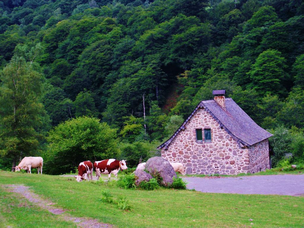 Les Chalets De La Foret D'Issaux Osse-en-Aspe Exteriör bild