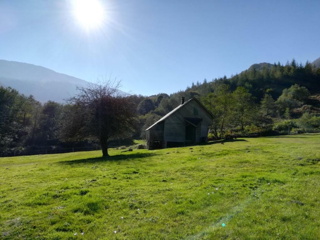 Les Chalets De La Foret D'Issaux Osse-en-Aspe Exteriör bild