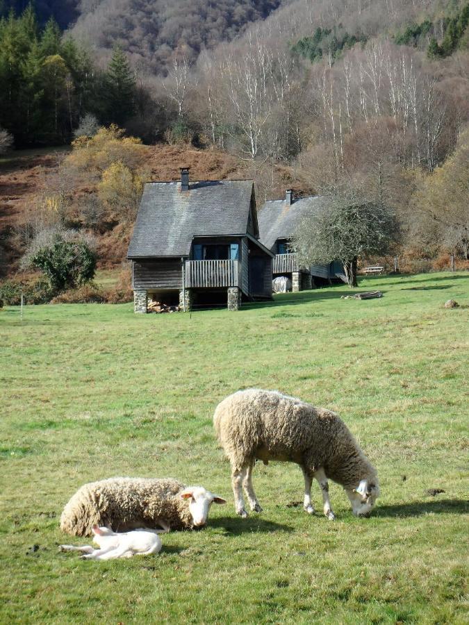 Les Chalets De La Foret D'Issaux Osse-en-Aspe Exteriör bild