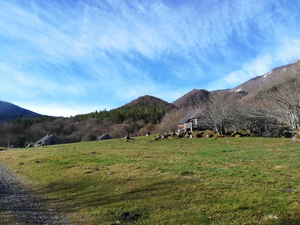 Les Chalets De La Foret D'Issaux Osse-en-Aspe Exteriör bild